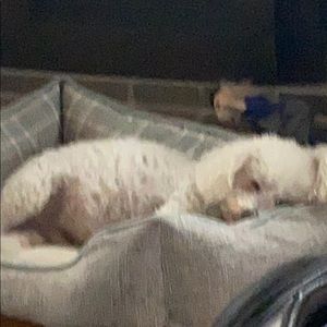 Meet your Posher, Richard